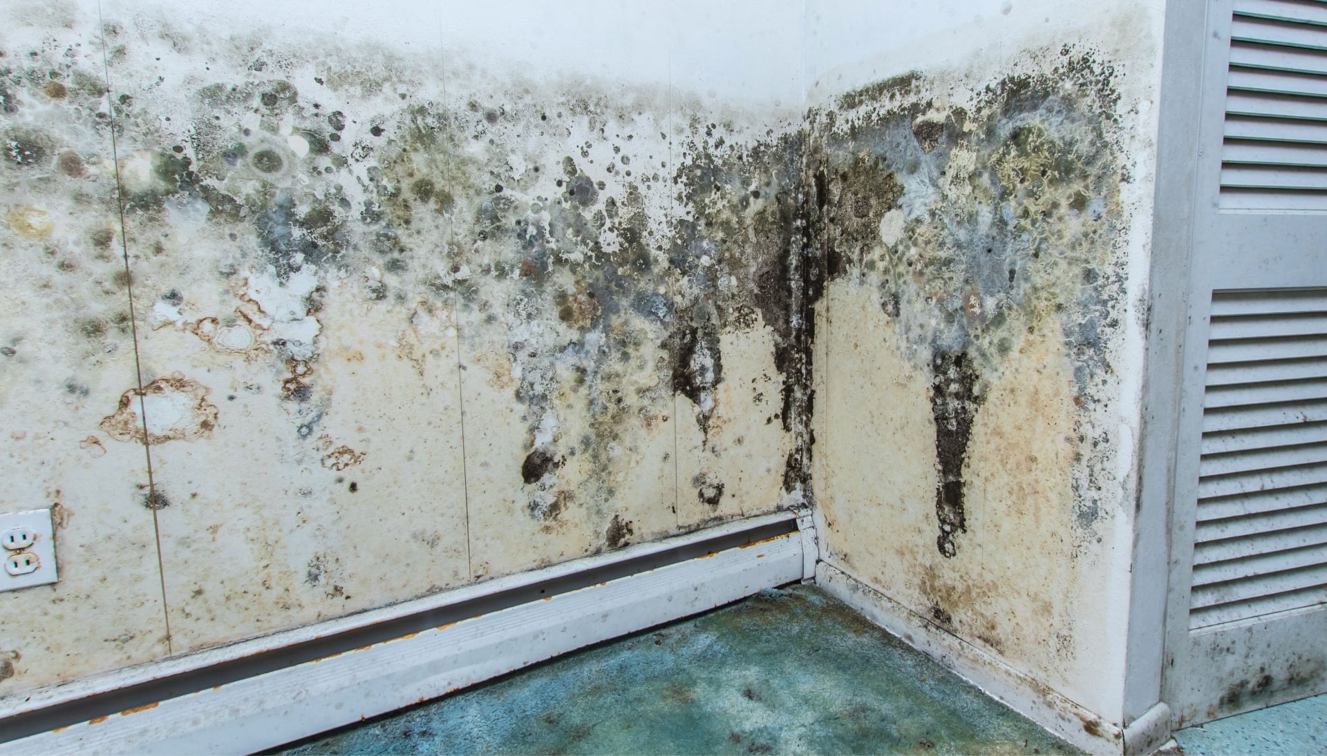 Professional mold removal, odor control, and water damage restoration service in Wilmington, North Carolina.