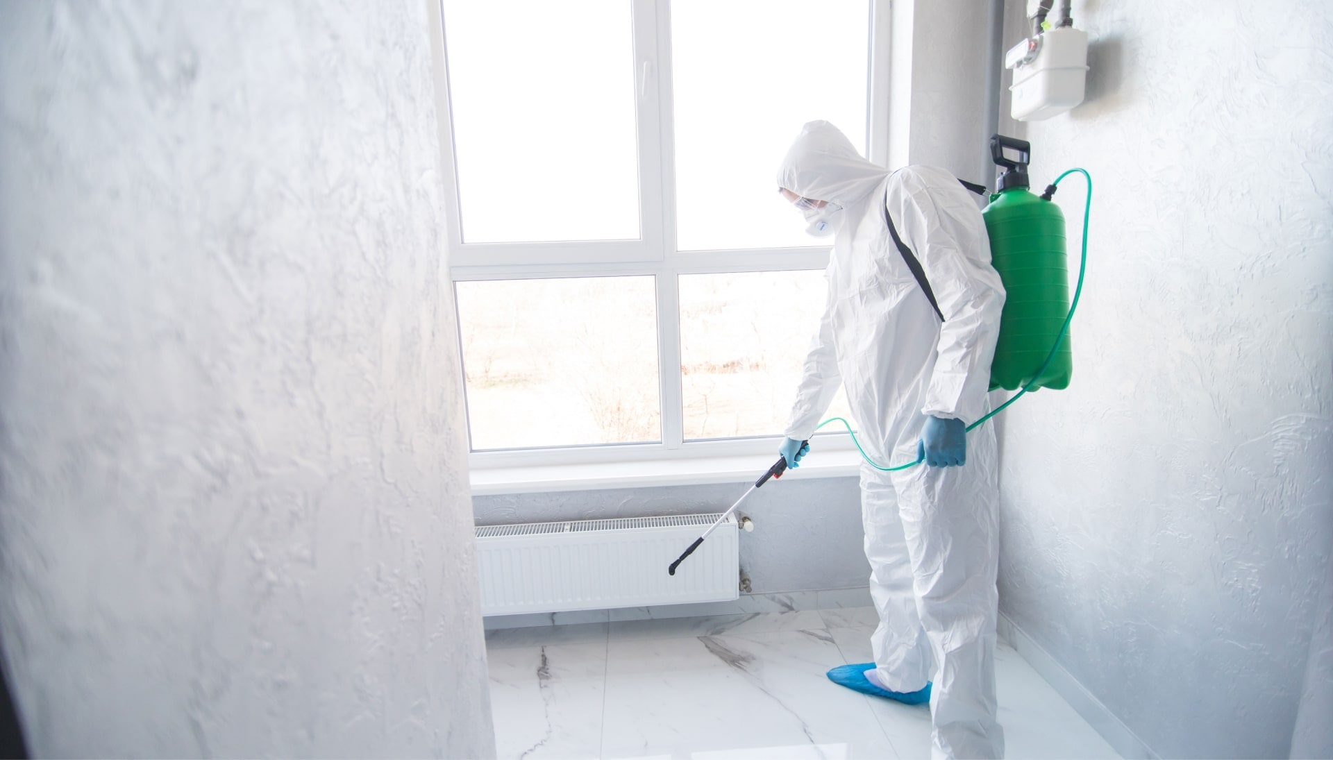 We provide the highest-quality mold inspection, testing, and removal services in the Wilmington, North Carolina area.
