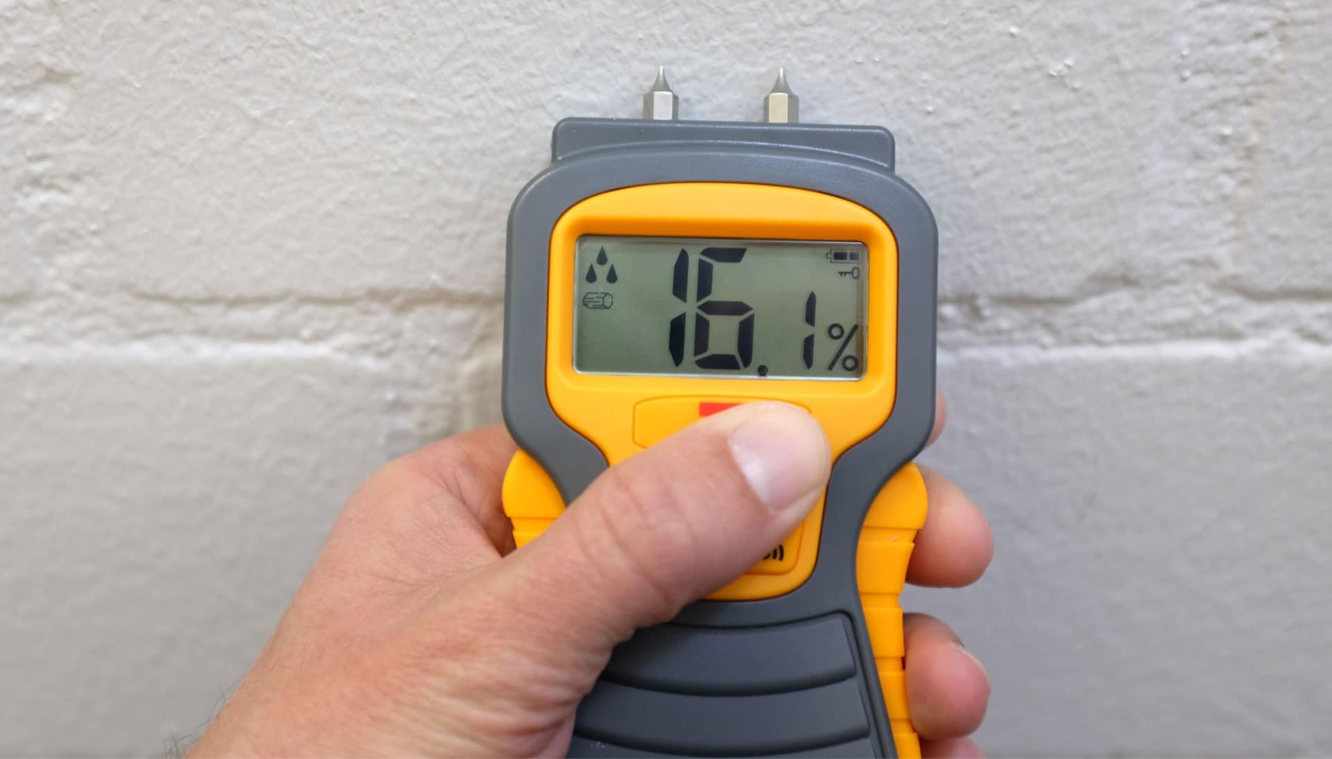 We provide fast, accurate, and affordable mold testing services in Wilmington, North Carolina.